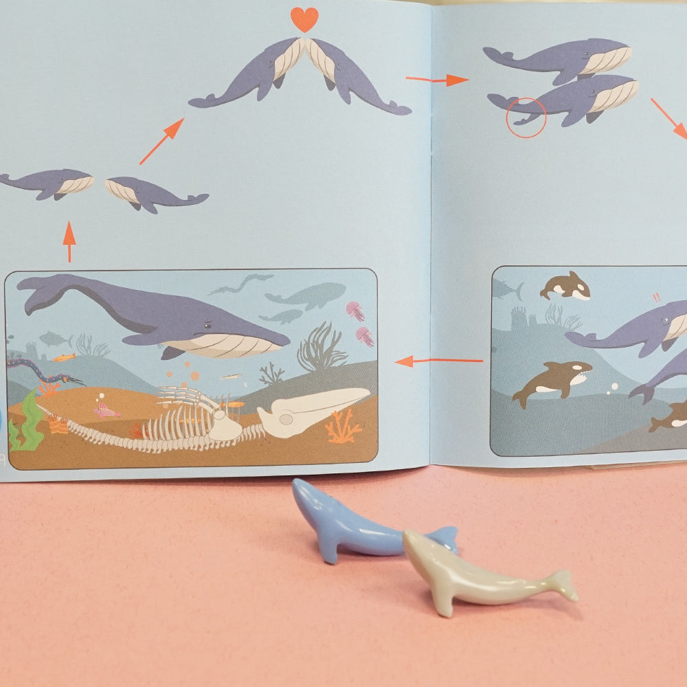 Green-n-Learn® Whales Story Counters Activity Set