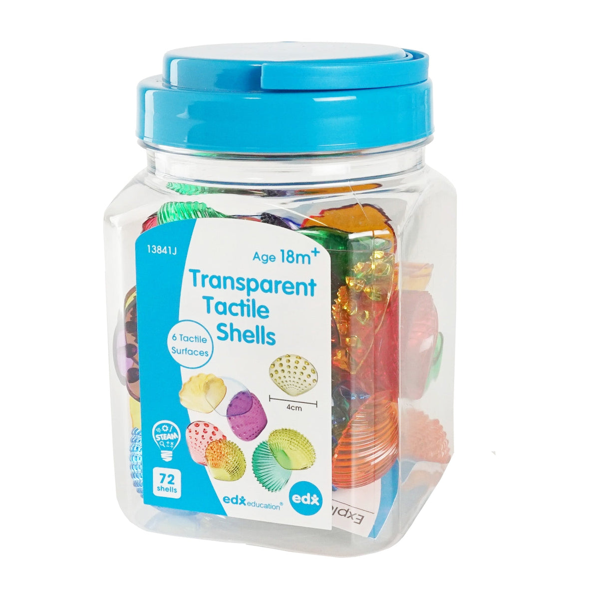 Translucent Sensory Shells Activity Set