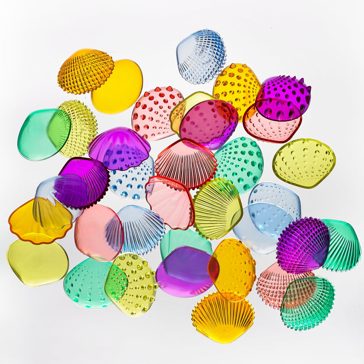 Transparent Tactile Shells Activity Set