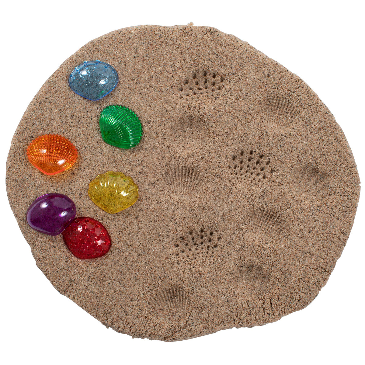 Transparent Tactile Shells Activity Set
