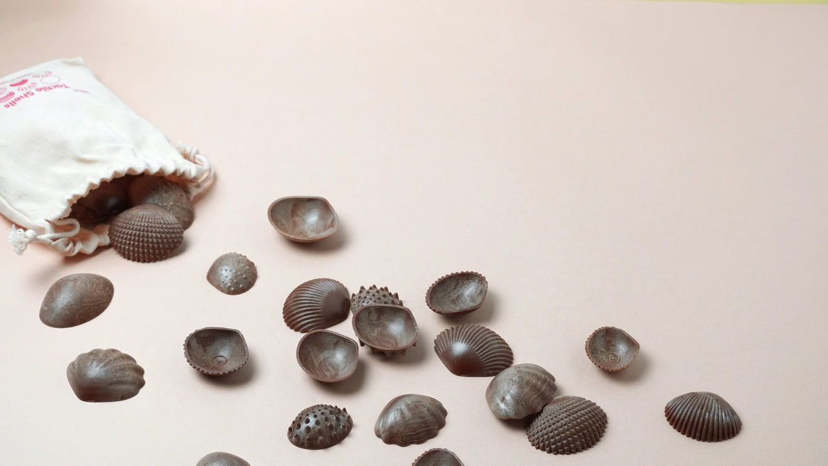 Green-n-Learn® Sensory Shells Activity Set
