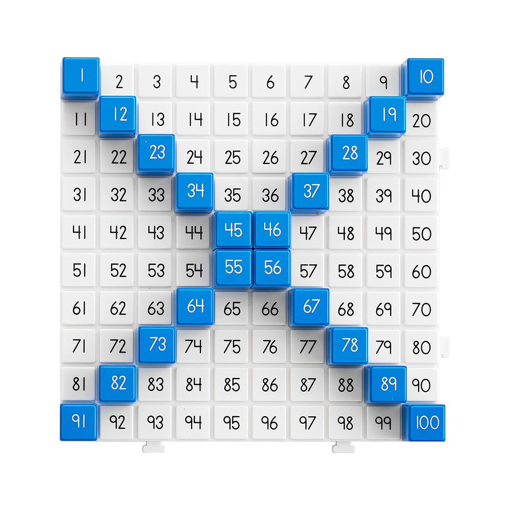 Hundred Board Maths Activity Set