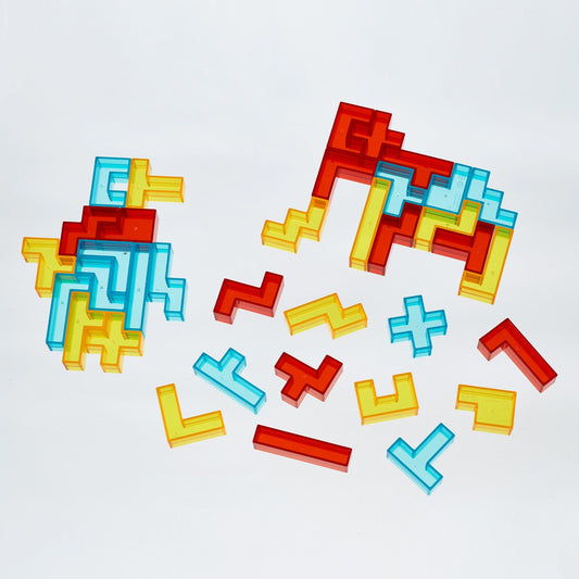 3D Pentominoes Puzzle Activity Set