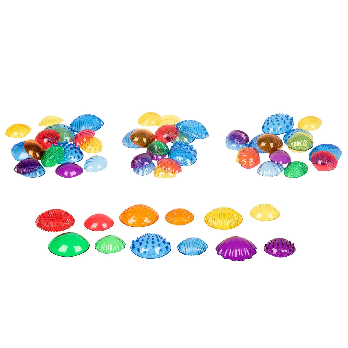 Transparent Tactile Shells Activity Set