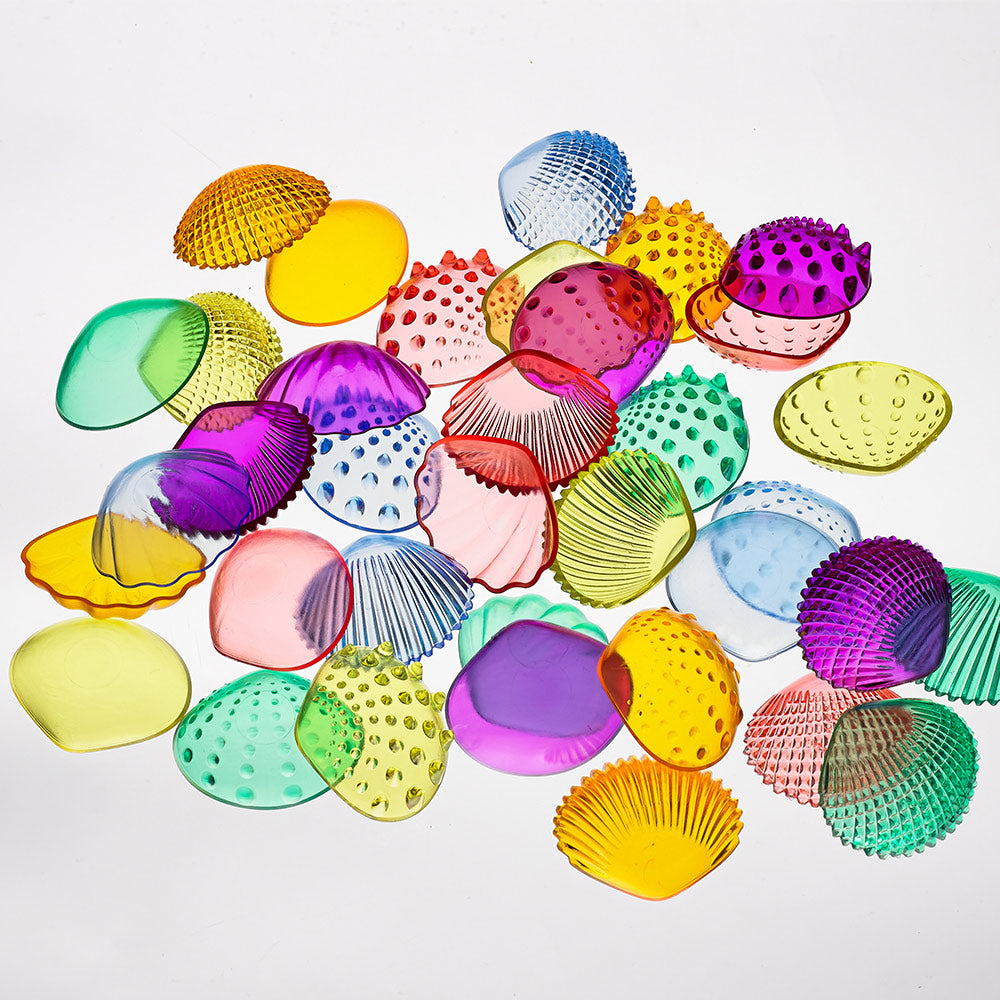 Translucent Sensory Shells Activity Set