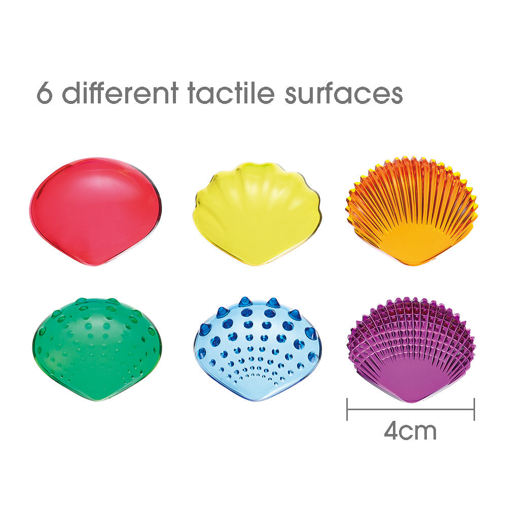Translucent Sensory Shells Activity Set